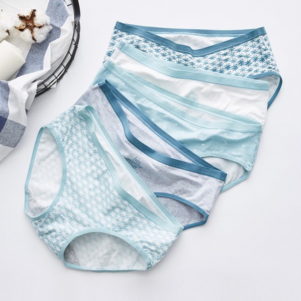 Cuecas Femininas Mandy - 5 pcs L