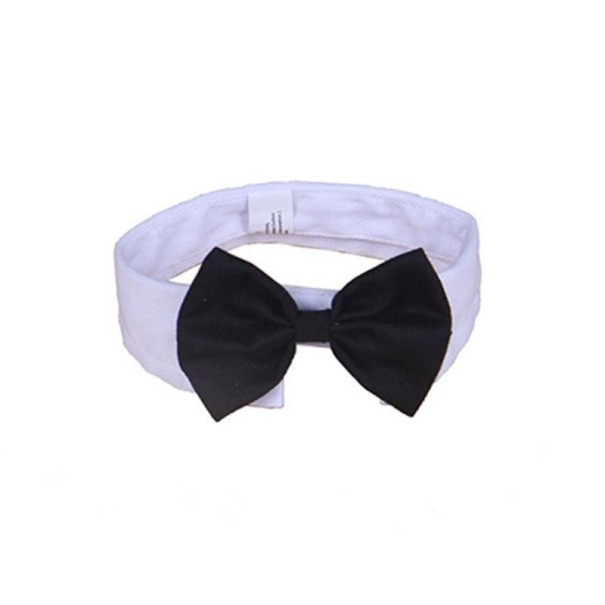 Cuello pajarita C726 L