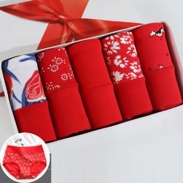 Culottes taille haute - 5 pièces L 4