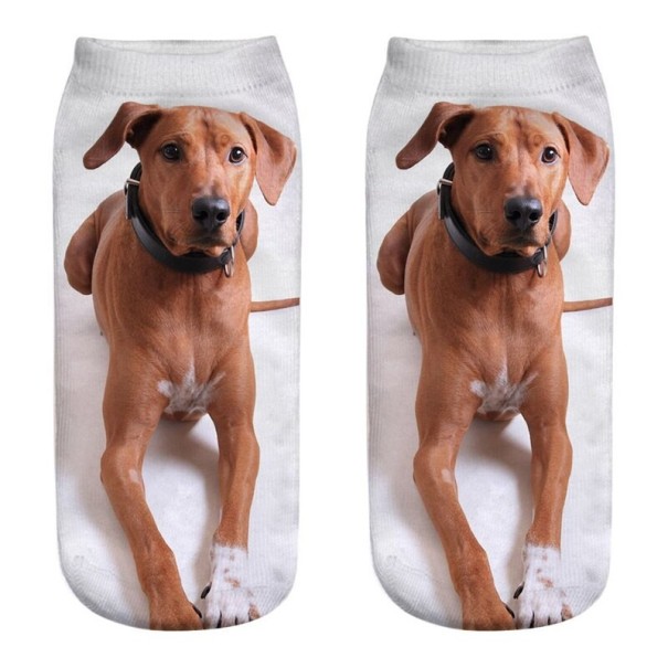 Dameankelsokker med hund A667 10