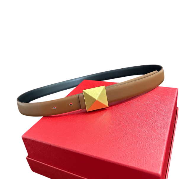 Damen Ledergürtel 2,5 cm mit Pyramidenschnalle aus Metall Edles Modeaccessoire für Hosen und Kleider Hochwertige Verarbeitung Stylischer Gürtel braun