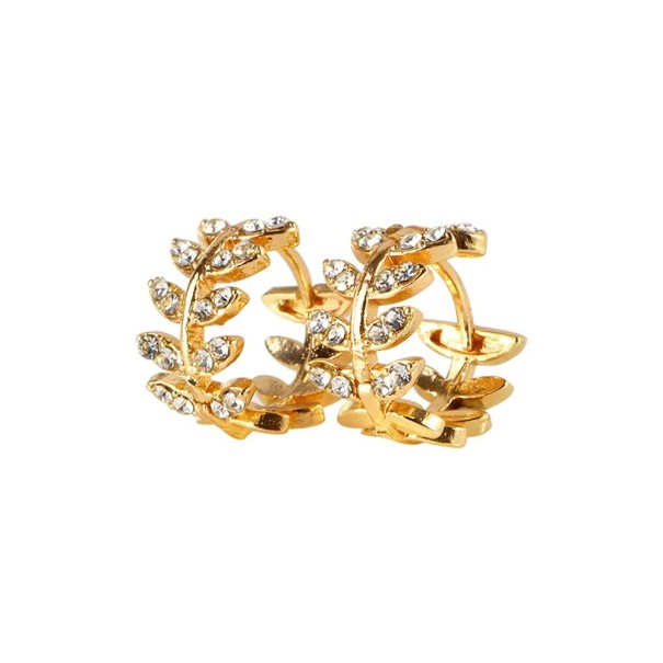 Dames creolen G1155 2
