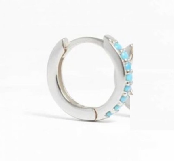 Dames creolen met steentjes 6 mm 4