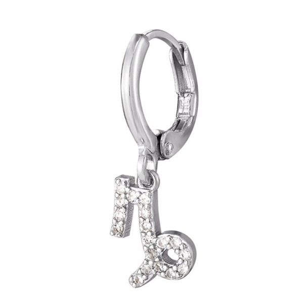 Dames creolen met sterrenbeeld zilver 4