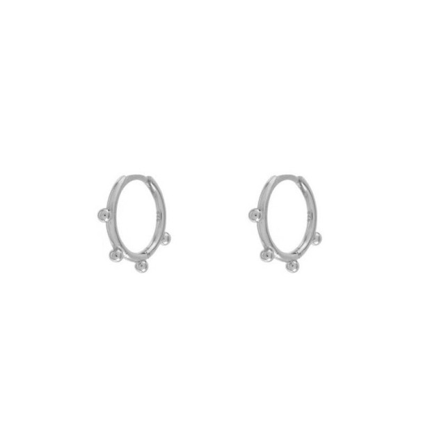 Dames creolen R23 zilver 4