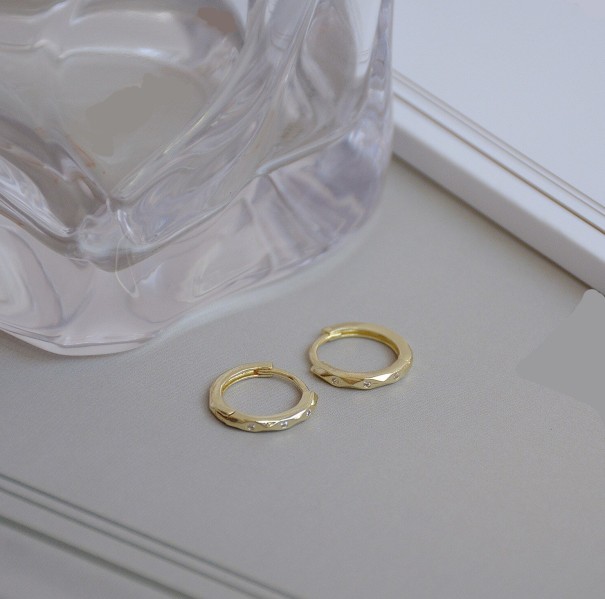 Dames oorbellen G790 2