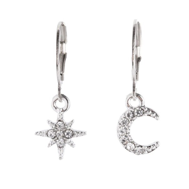 Dames oorbellen H769 zilver 1