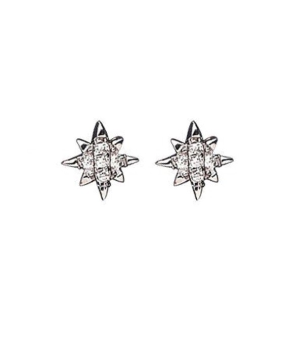 Dames oorstekers met zirkonen G875 zilver