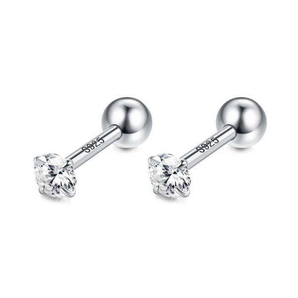 Dames oorstekers met zirkoon H870 zilver
