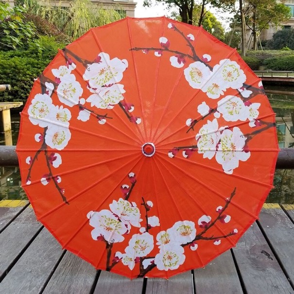 Dames paraplu T1394 19