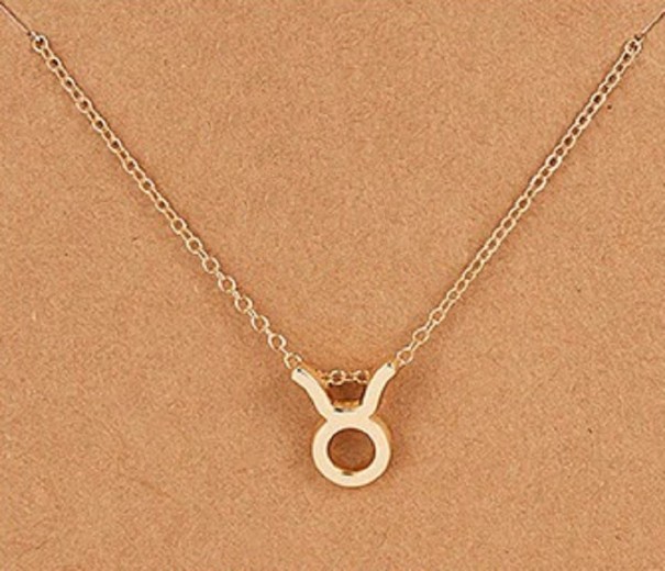 Dames sterrenbeeld ketting D31 zilver 10