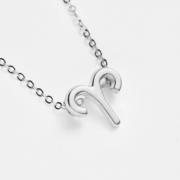 Dames sterrenbeeld ketting D31 zilver 1