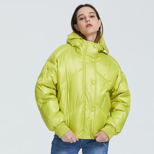 Dames winter taille jack B664 groen M