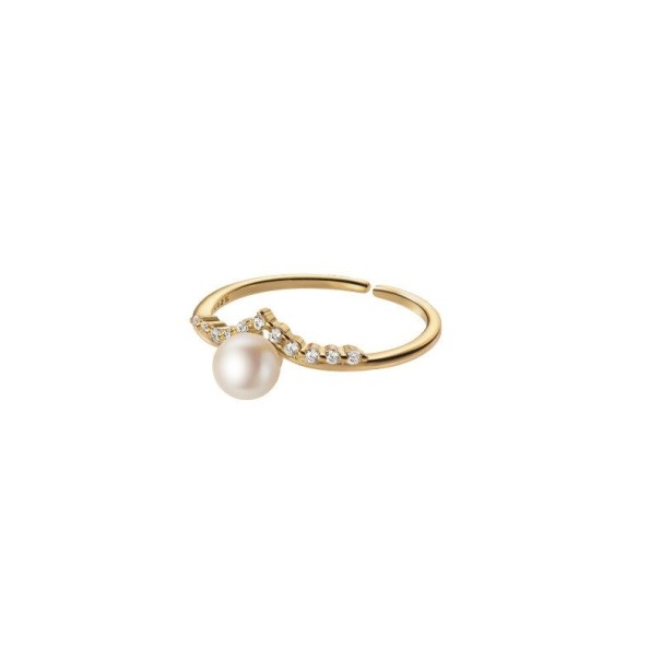 Damesring D1613 goud