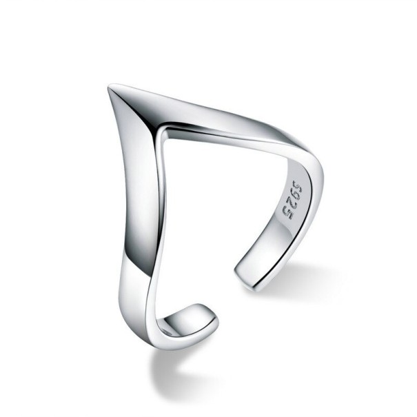 Damring D1346 silver