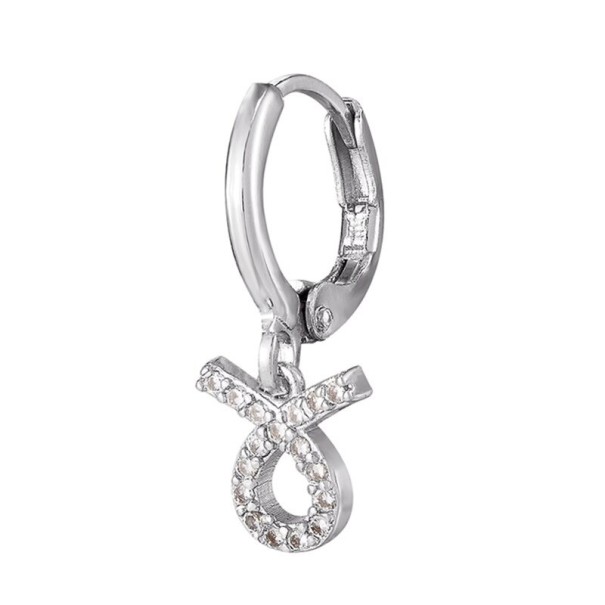 Dámská kruhová náušnice se znamením zvěrokruhu stříbrná 10