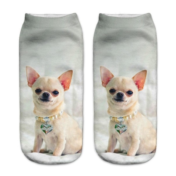 Damskie skarpetki z nadrukiem 3D - Chihuahua 2