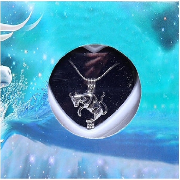 Dámský náhrdelník znamení zvěrokruhu 2