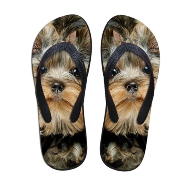 Damtofflor med hundmotiv 37 5