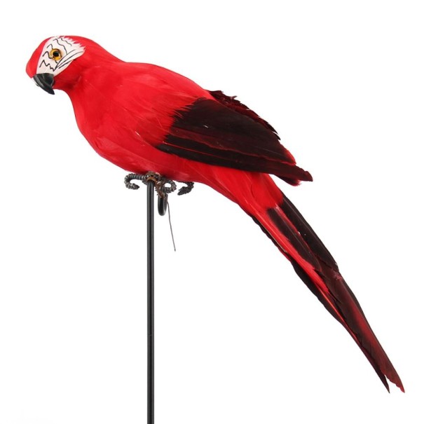 Decor de papagal roșu