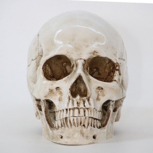 Decoración de calaveras 1