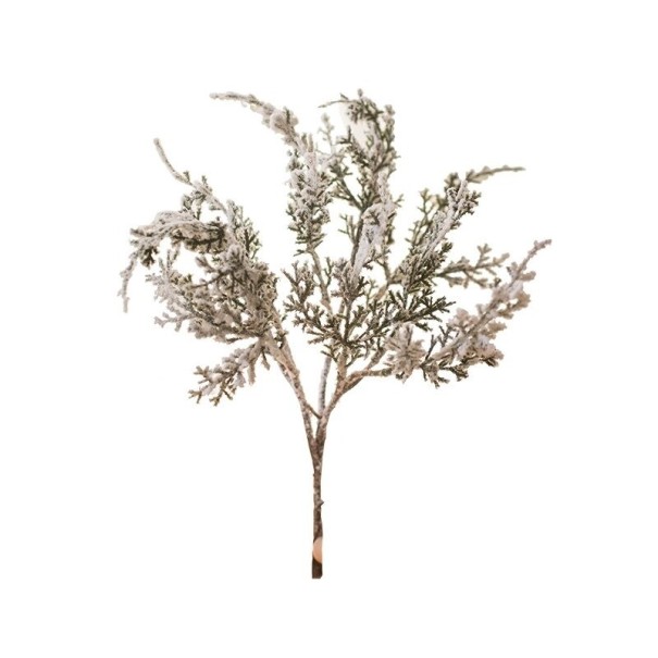 Decoratieve conifeer tak 2
