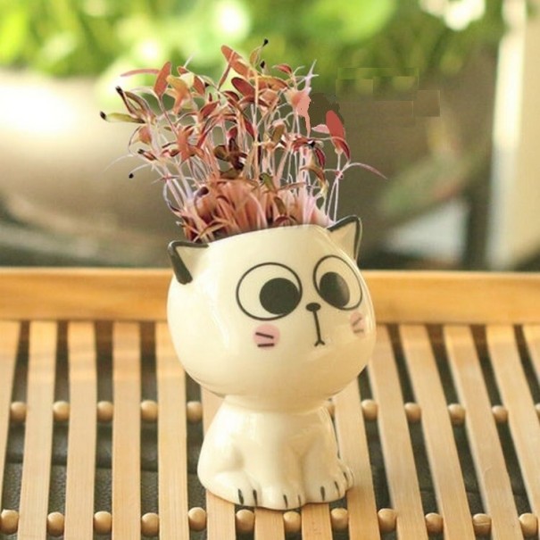Decoratieve kattenbloempot 3