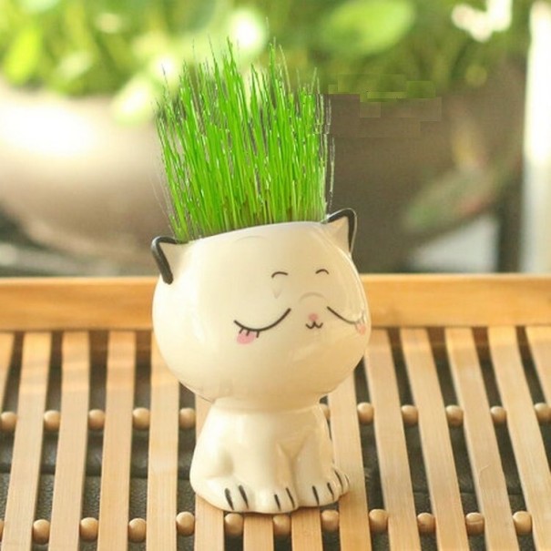 Decoratieve kattenbloempot 4
