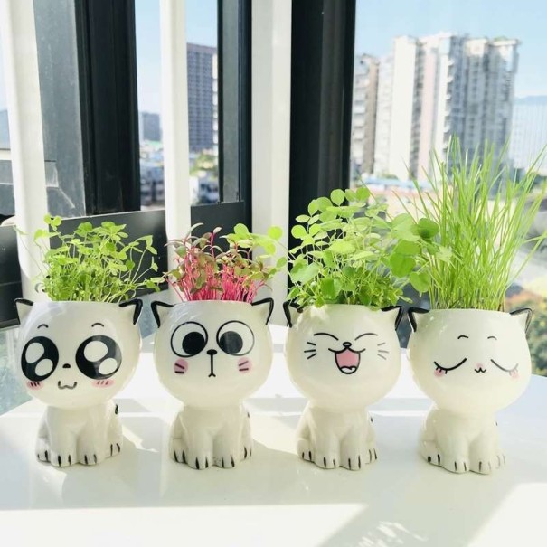 Decoratieve kattenbloempot