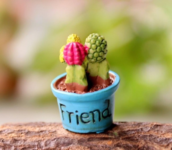 Decoratieve miniatuurcactus 3
