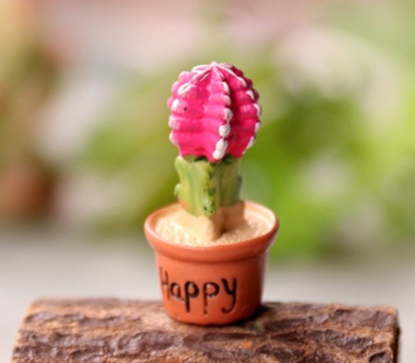Decoratieve miniatuurcactus 4