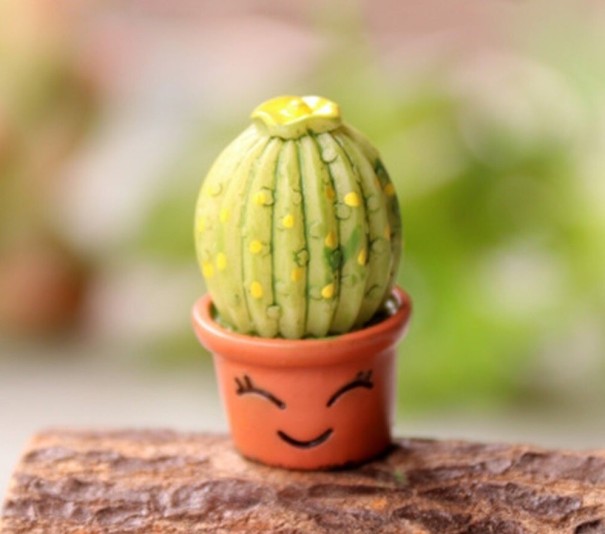 Decoratieve miniatuurcactus 7