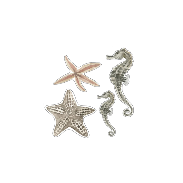 Decoratieve wandsticker onderwaterwereld 30 x 30 cm PVC wandsticker maritiem thema voor badkamer kinderkamer 1