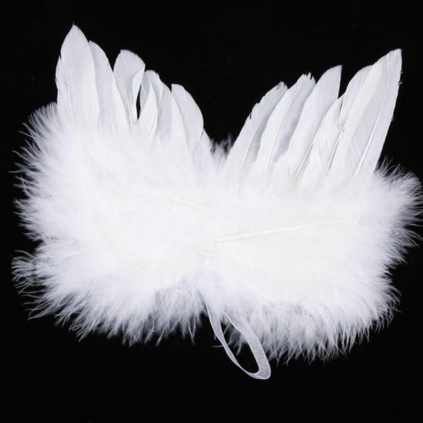 Décoration ailes d'ange 1