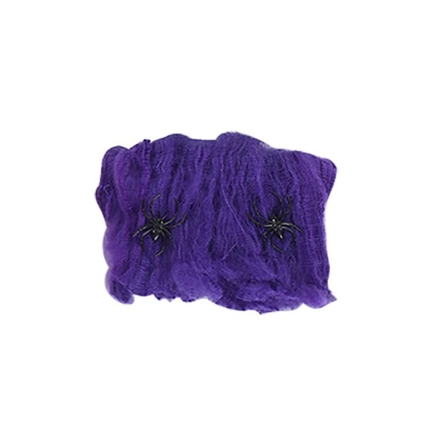 Décoration d'Halloween en toile d'araignée violet
