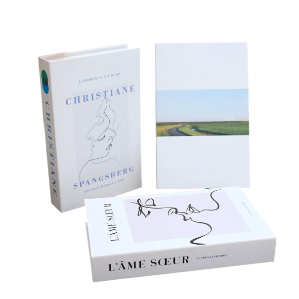 Decorative Fake Books 3 pcs Non-Opening White Artistic Books Line Art L’Âme Sœur Christiane Decoration 1
