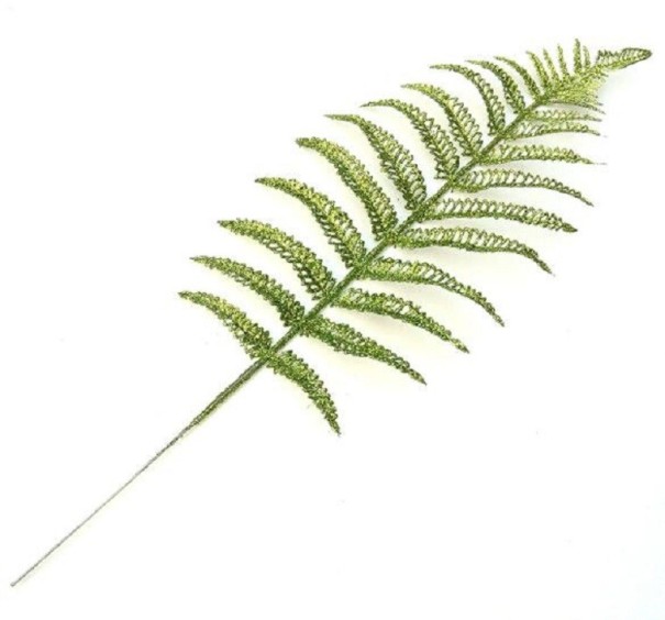 Decorazione foglia di felce verde