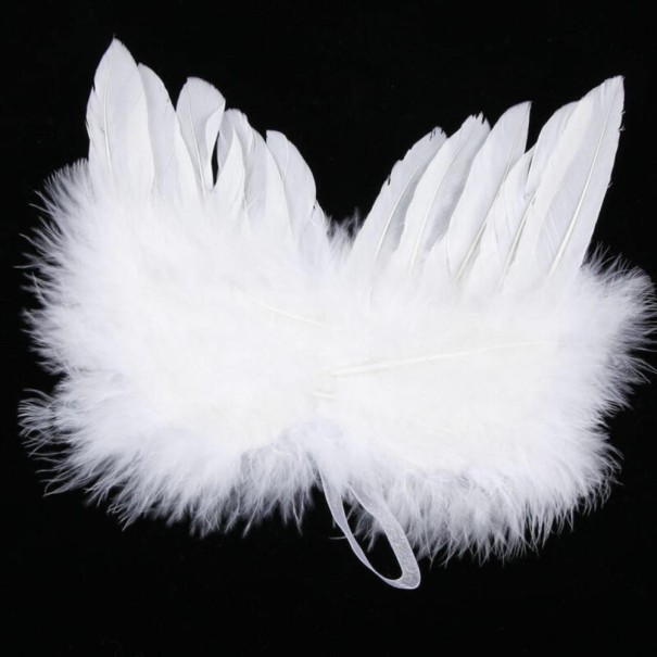 Dekorace andělská křídla 1