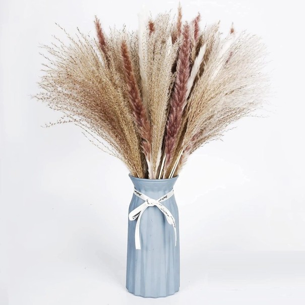 Dekorační pampová tráva 30 - 45 cm 50 ks 1