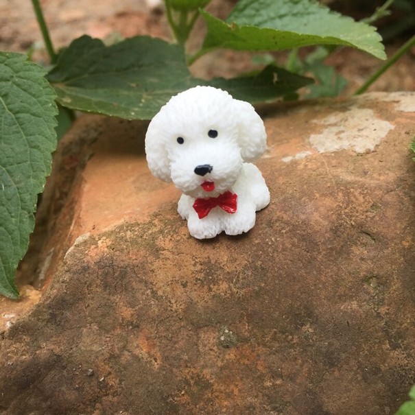 Dekorativ miniaturehund hvid
