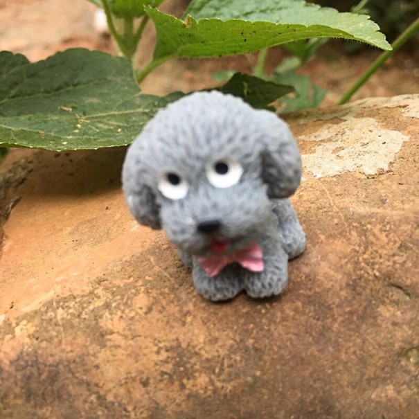 Dekorativ miniatyrhund grå