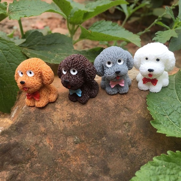 Dekorativ miniatyrhund