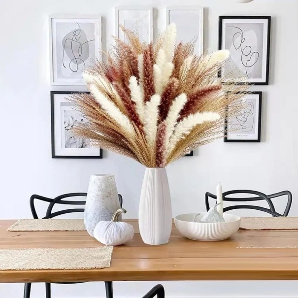 Dekoratívna pampová tráva 30 - 45 cm 60 ks 1