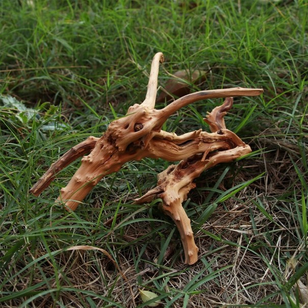 Dekoratívne akvarijné koreň