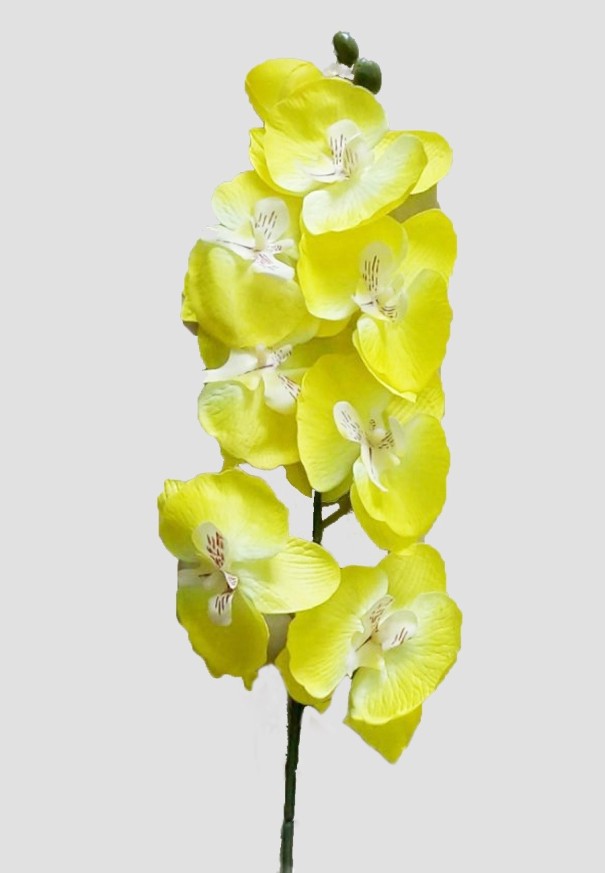 Dekoratívne umelé orchidey žltá