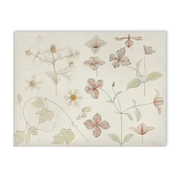 Dekorativní plakát na zeď s botanickým motivem květin 30 x 40 cm plátěný tisk béžovo-zelené jemné odstíny bez rámu do dětského pokoje 1