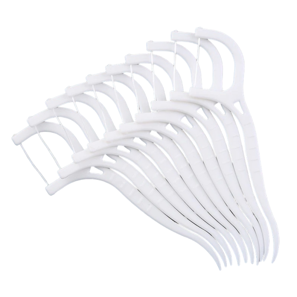 Dental Floss Picks 100 pcs 1