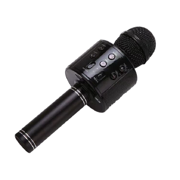Dětský karaoke mikrofon černá