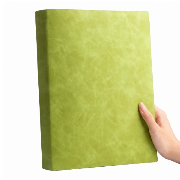 Dikke gelinieerde schrift A4 29 x 22 cm met 100 gelinieerde bladen in een eenvoudige omslag zonder bedrukking voor schoolnotities groen