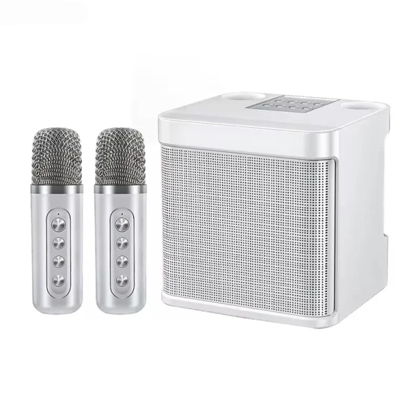 Draagbaar Bluetooth karaokesysteem met dubbele microfoon, 25W HIFI-luidspreker, thuisfeest, KTV, extra bas, stereo, 3000 mAh, AUX, draadloos
